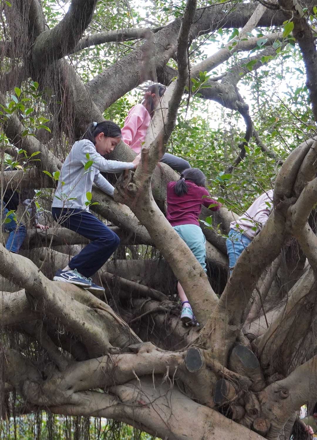 公園自然遊戲